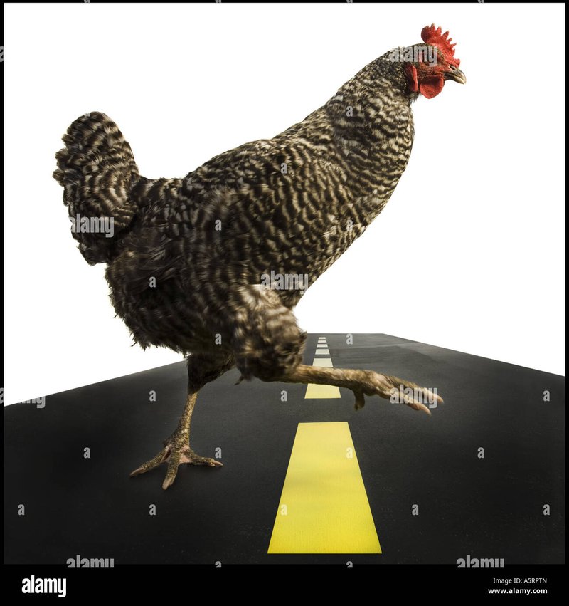De Meest Bekende Online Gokspellen: Chicken Road Gokkast in Nederland, chicken road game